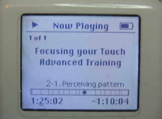 screenshot of iPod showing chapter heading