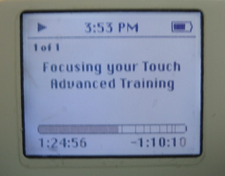 screenshot of iPod progress bar